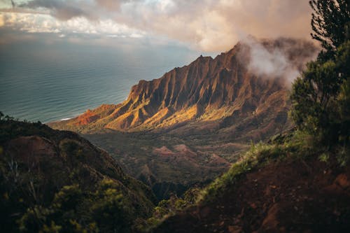 布朗山