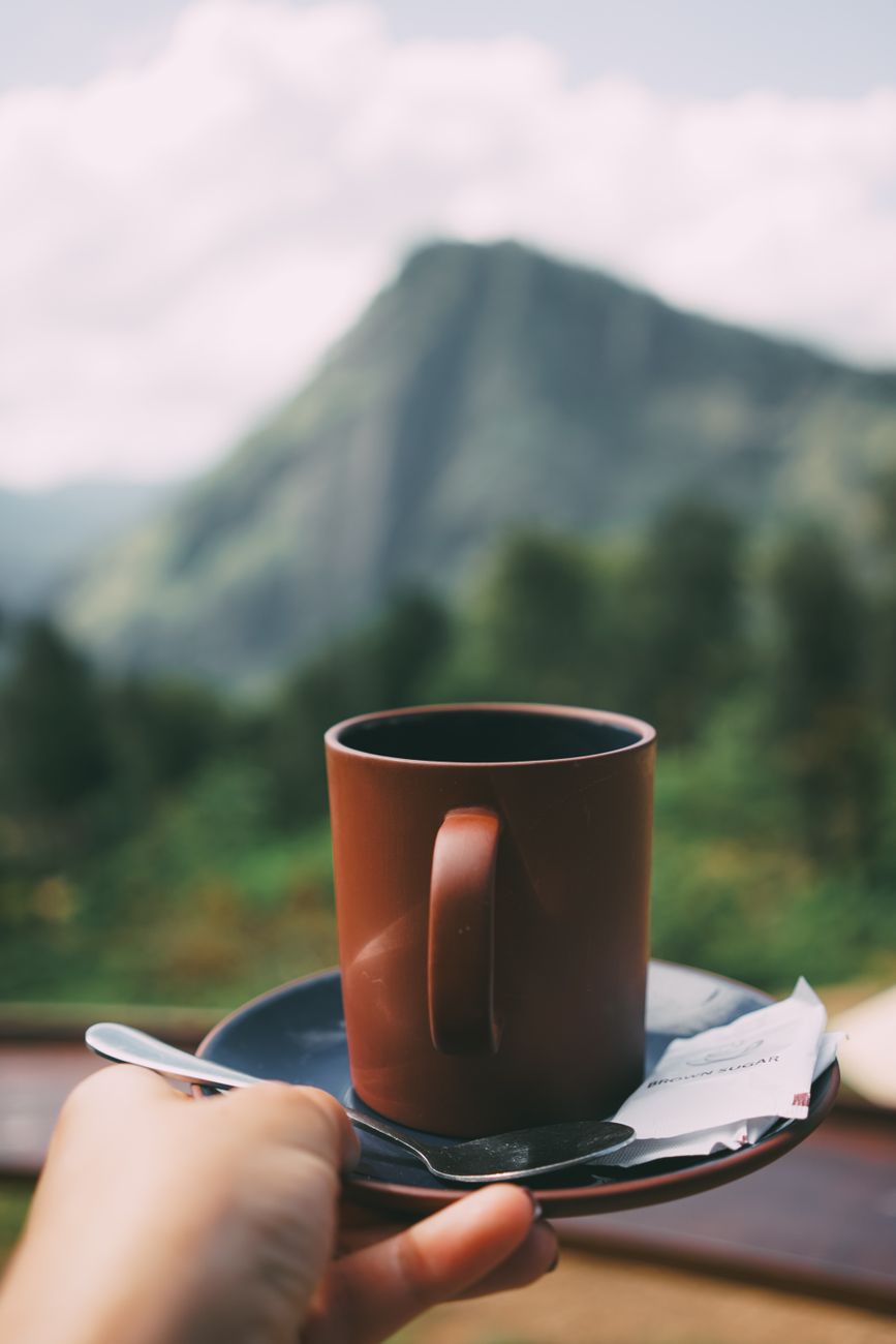 A person holds a coffee cup with a scenic mountain backdrop, creating a tranquil morning vibe.