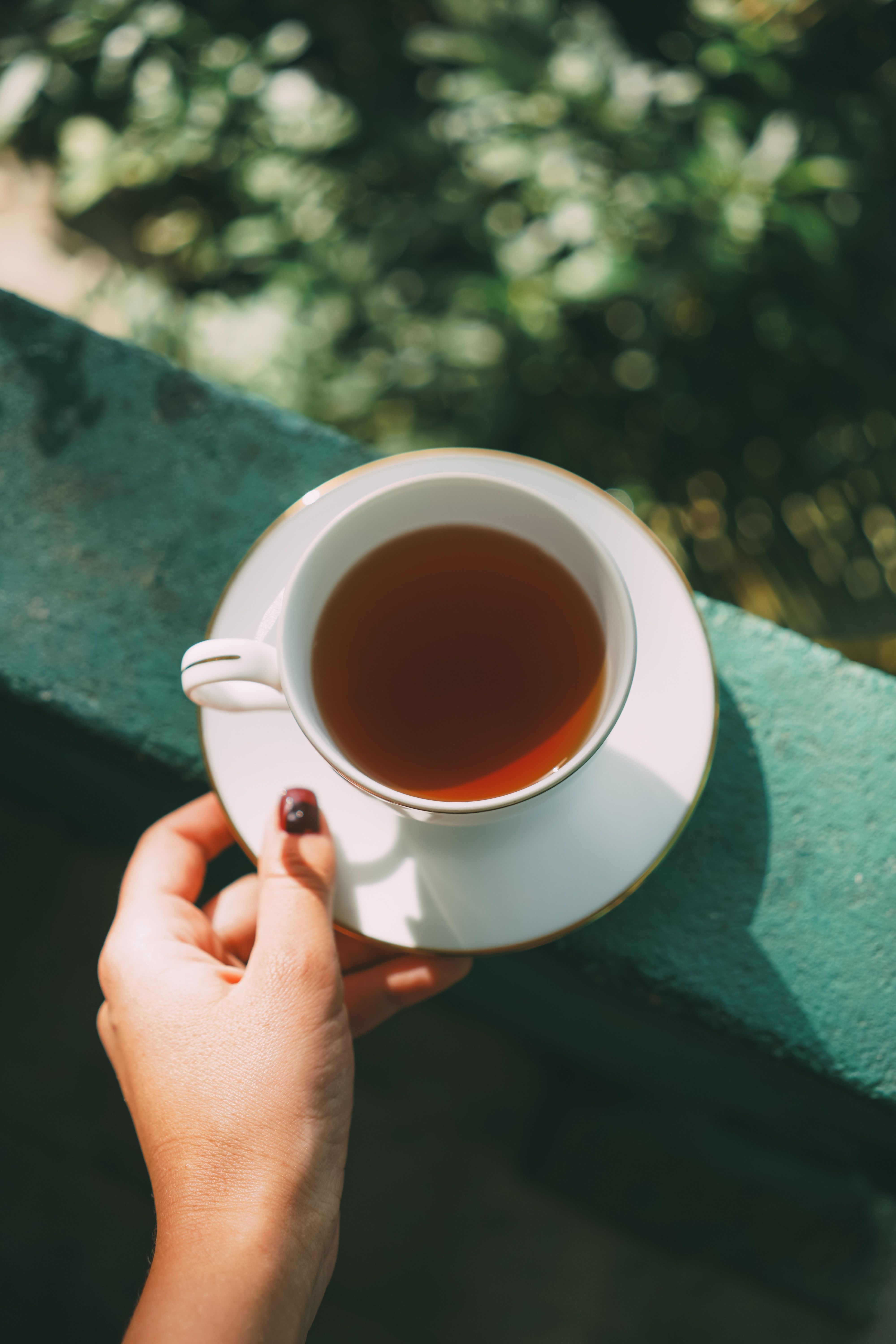 Person Holding a Cup of Tea · Free Stock Photo
