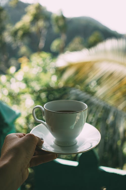 A person holding a cup of coffee in front of a green background