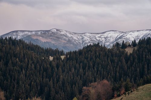 Free Snow-capped mountains and dense evergreen forests in Fundata, Romania, create a serene winter landscape. Stock Photo