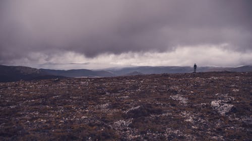 Silhouette of Person Standing Near Open Field during Daytime