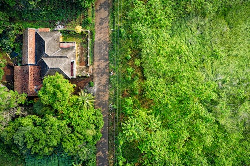 Free Aerial Photo of Brown House Surrounded by Green Leafy Trees Stock Photo