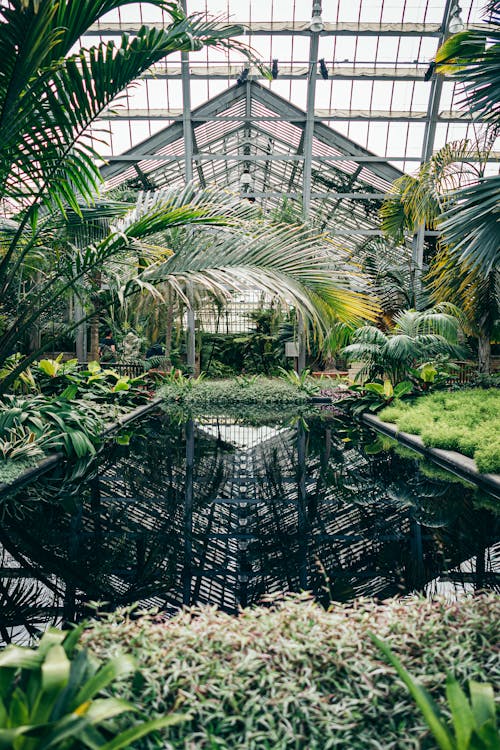 Interior of a Green House With a Pond