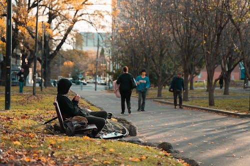 Gratis lagerfoto af efterår, efterårsblade, skatere