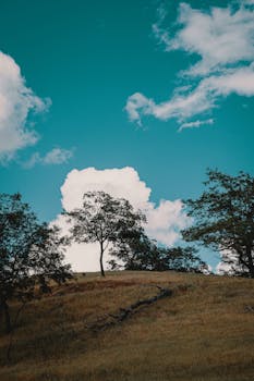 宁静的乡村景象中，青山、树木与充满活力的蓝天交相辉映，云彩点缀其间