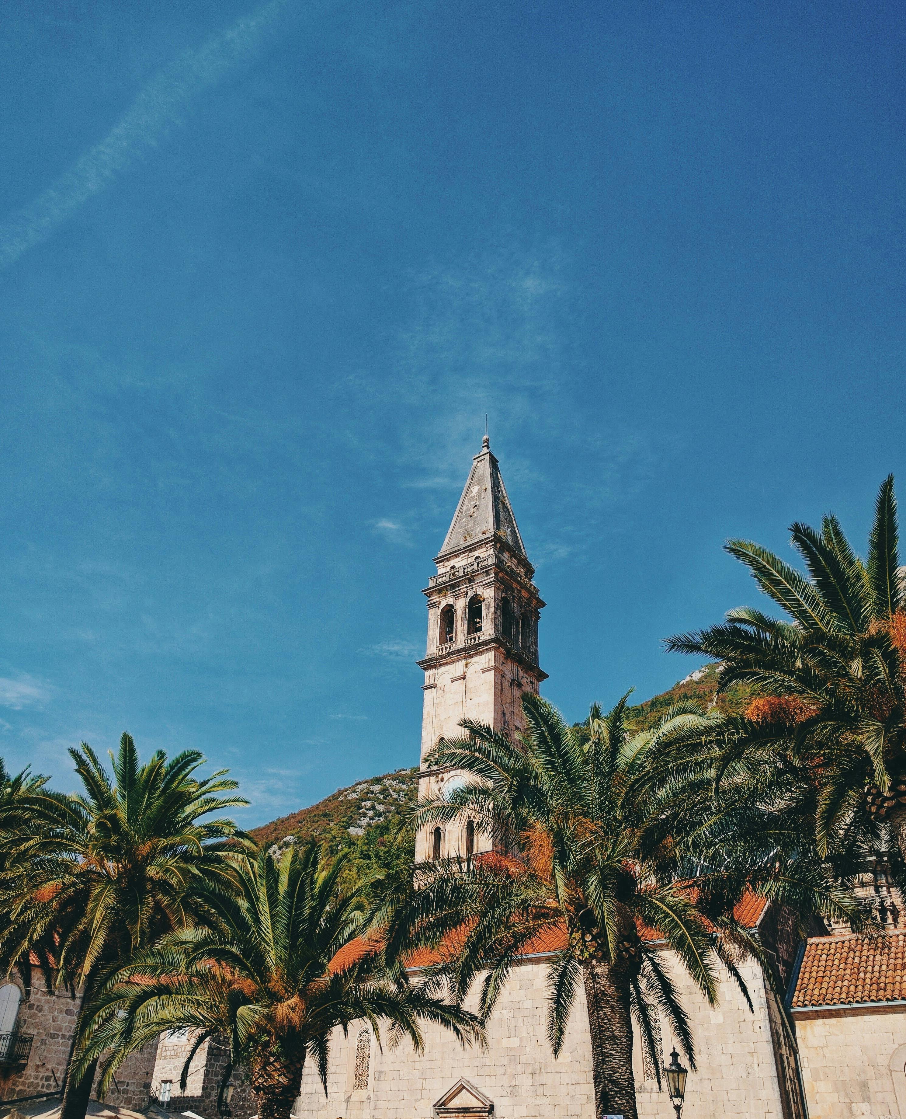 在明亮的蓝天下，棕榈树环绕着黑山佩拉斯特一座历史悠久的塔楼