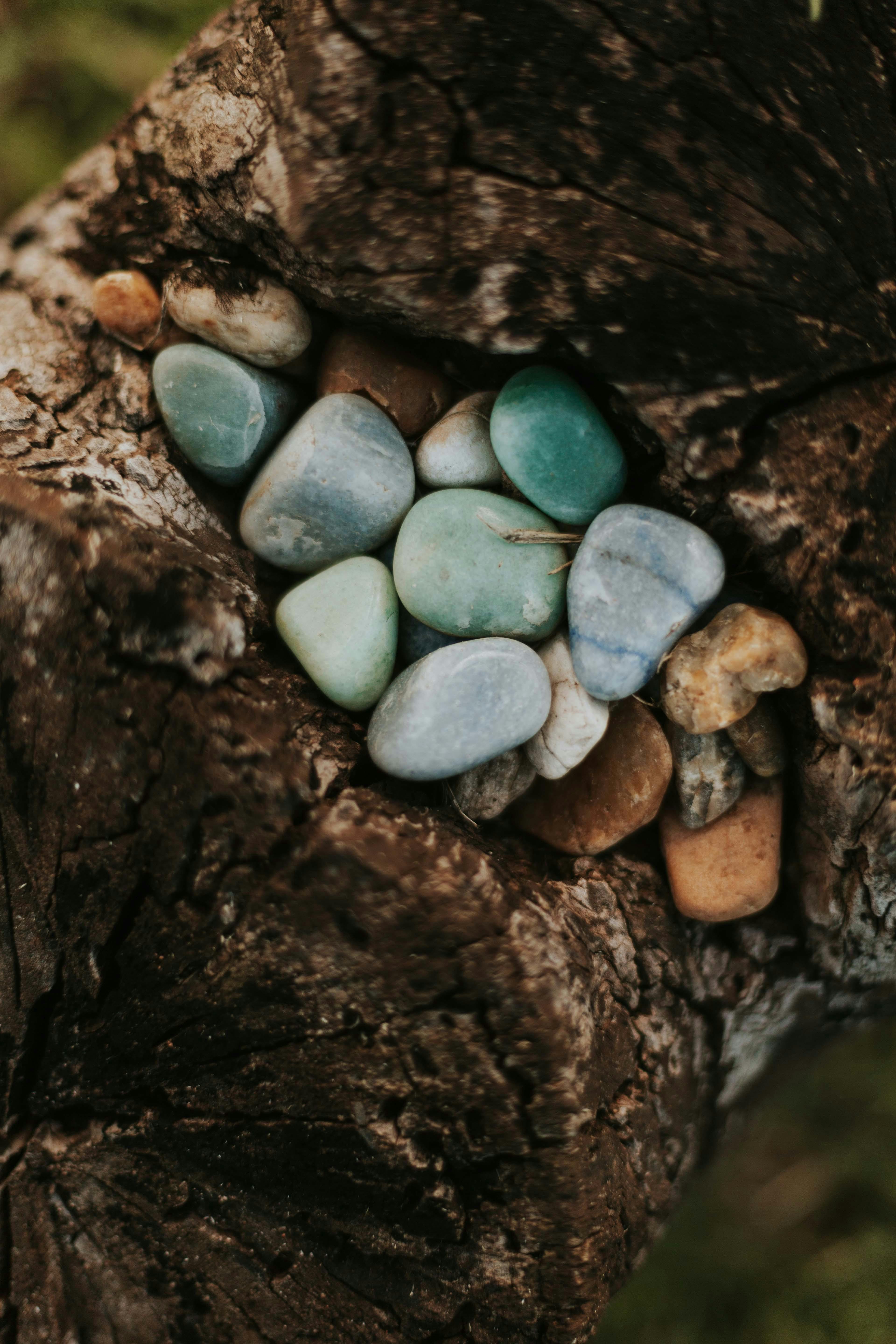 Close-up of colorful stones nestled in a tree bark crevice, creating a natural, earthy composition.
