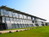 Low Angle View of Plants Against Blue Sky
