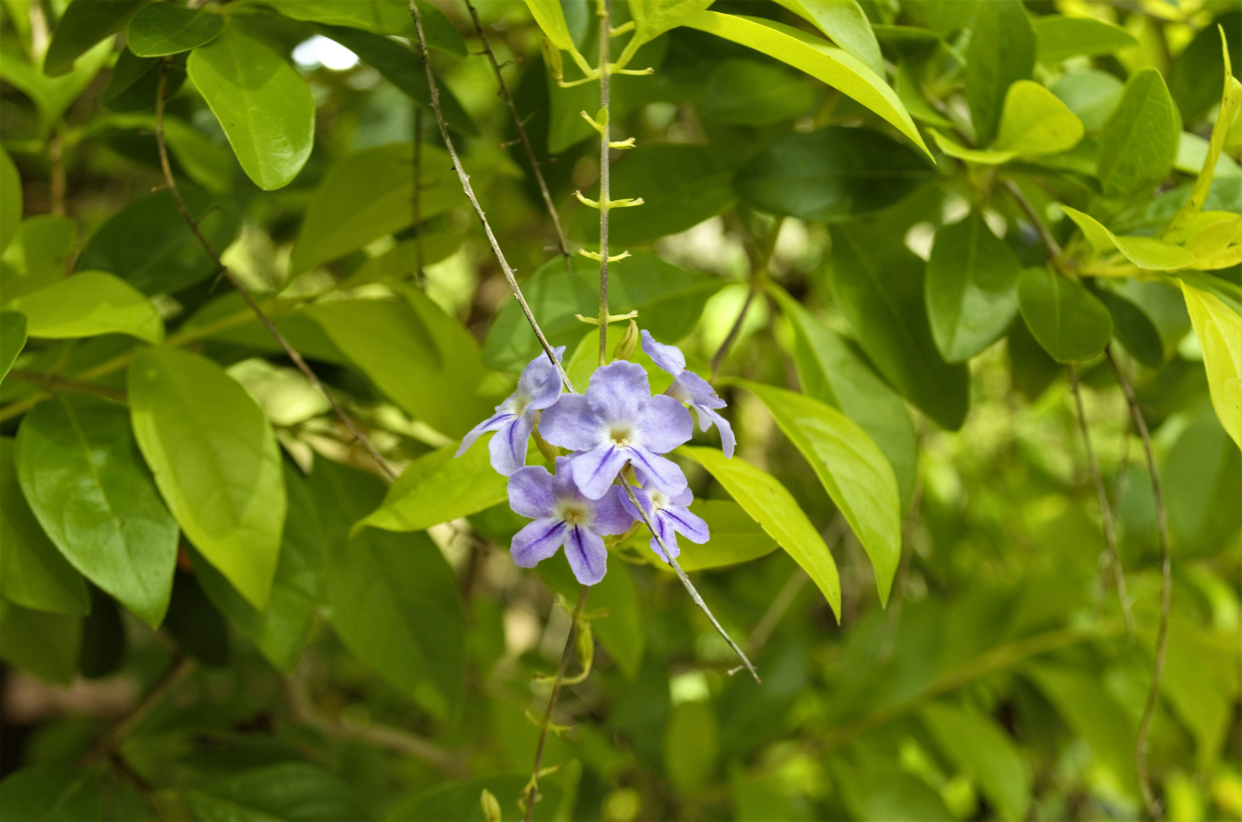 A peaceful home office, symbolizing preparation for retirement savings.