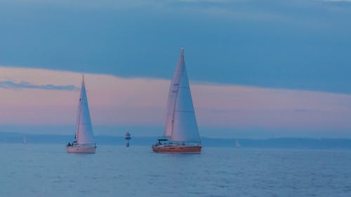 Free stock photo of night, sail boats