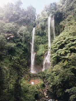 探索热带森林中令人惊叹的瀑布，非常适合旅行和自然爱好者