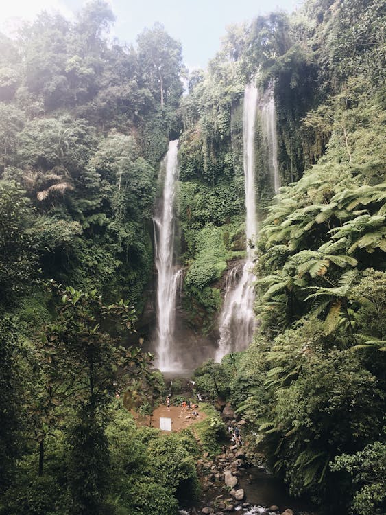 Waterfalls and Trees