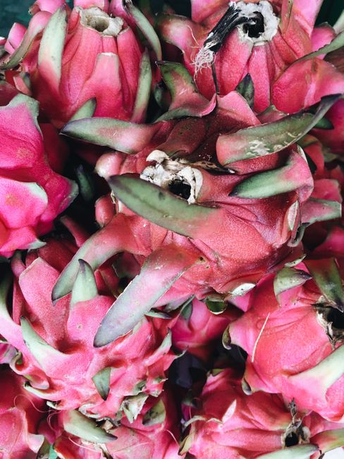 Close-up of vibrant pink dragonfruits showcasing unique texture and colors.