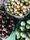 fruit basket