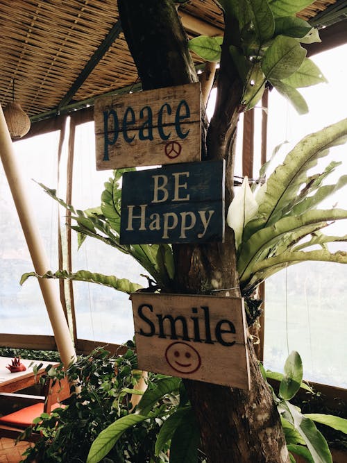 Free Three Wooden Signage in a Tree Close-up Photography Stock Photo