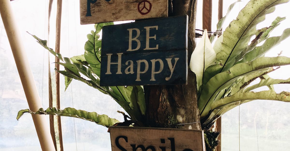 Three Wooden Signage in a Tree Close-up Photography · Free Stock Photo