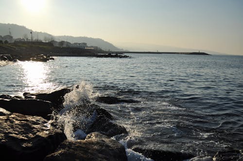 Darmowe zdjęcie z galerii z pęd, trabzon