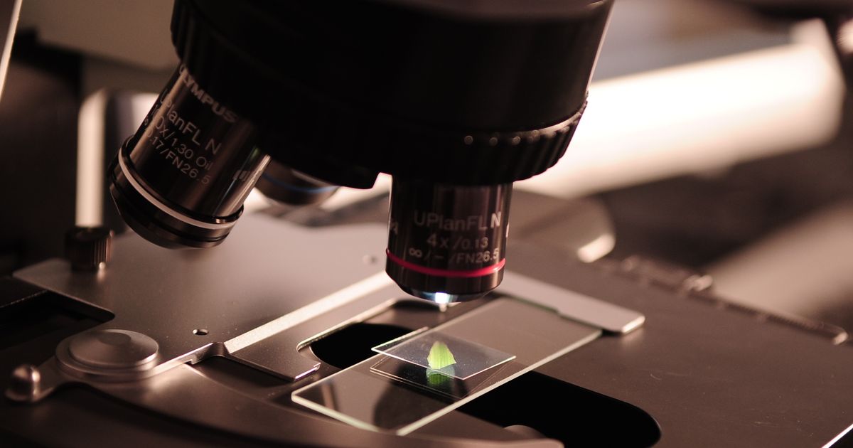 Frontiers of Discovery: The Scientific Breakthroughs Defining Our Era