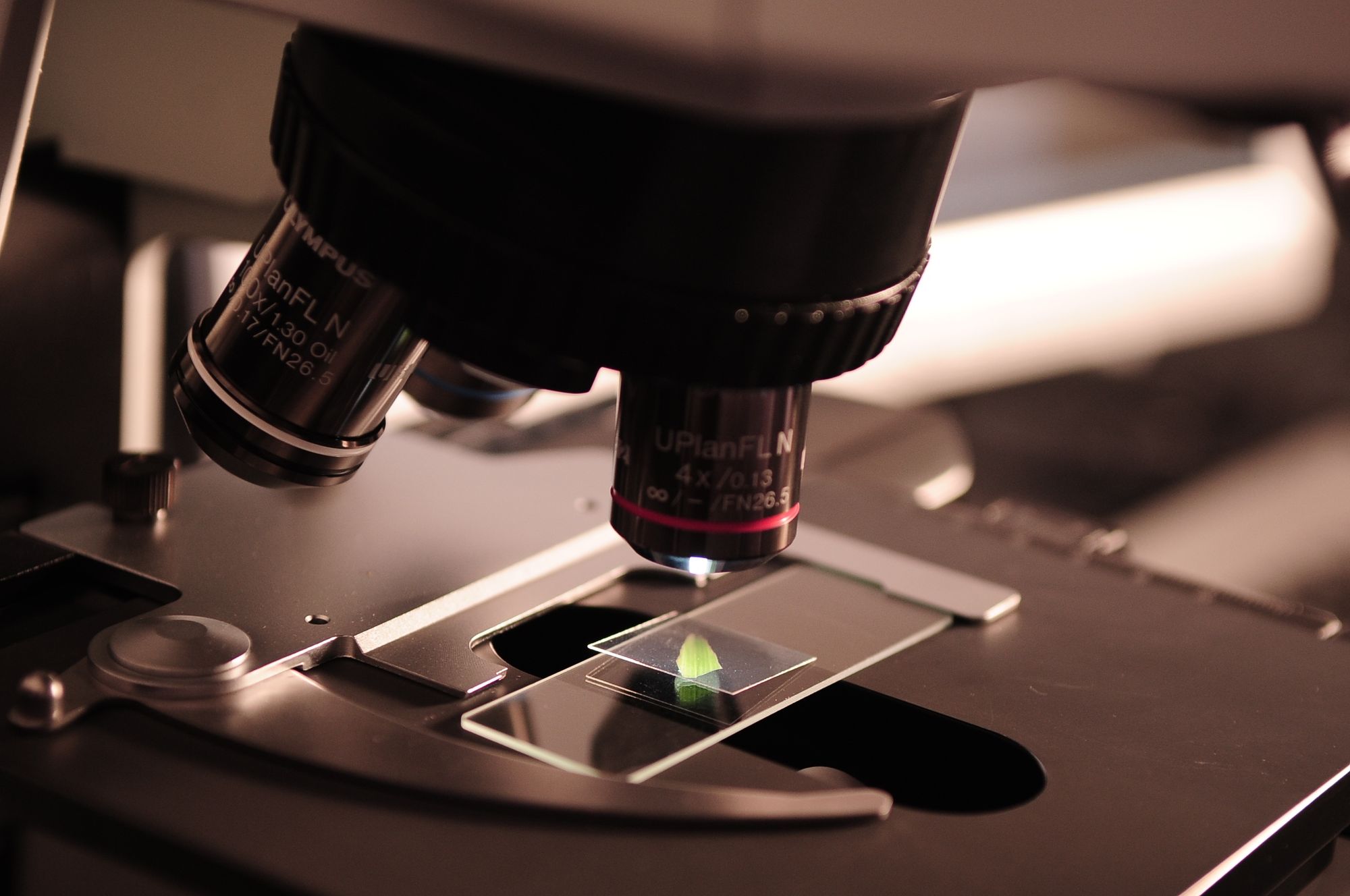 Manos con guantes colocando una muestra mineral bajo un microscopio de laboratorio