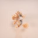 Human Responsibility