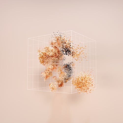 Random Photos, Download The BEST Free Random Stock Photos & HD Images