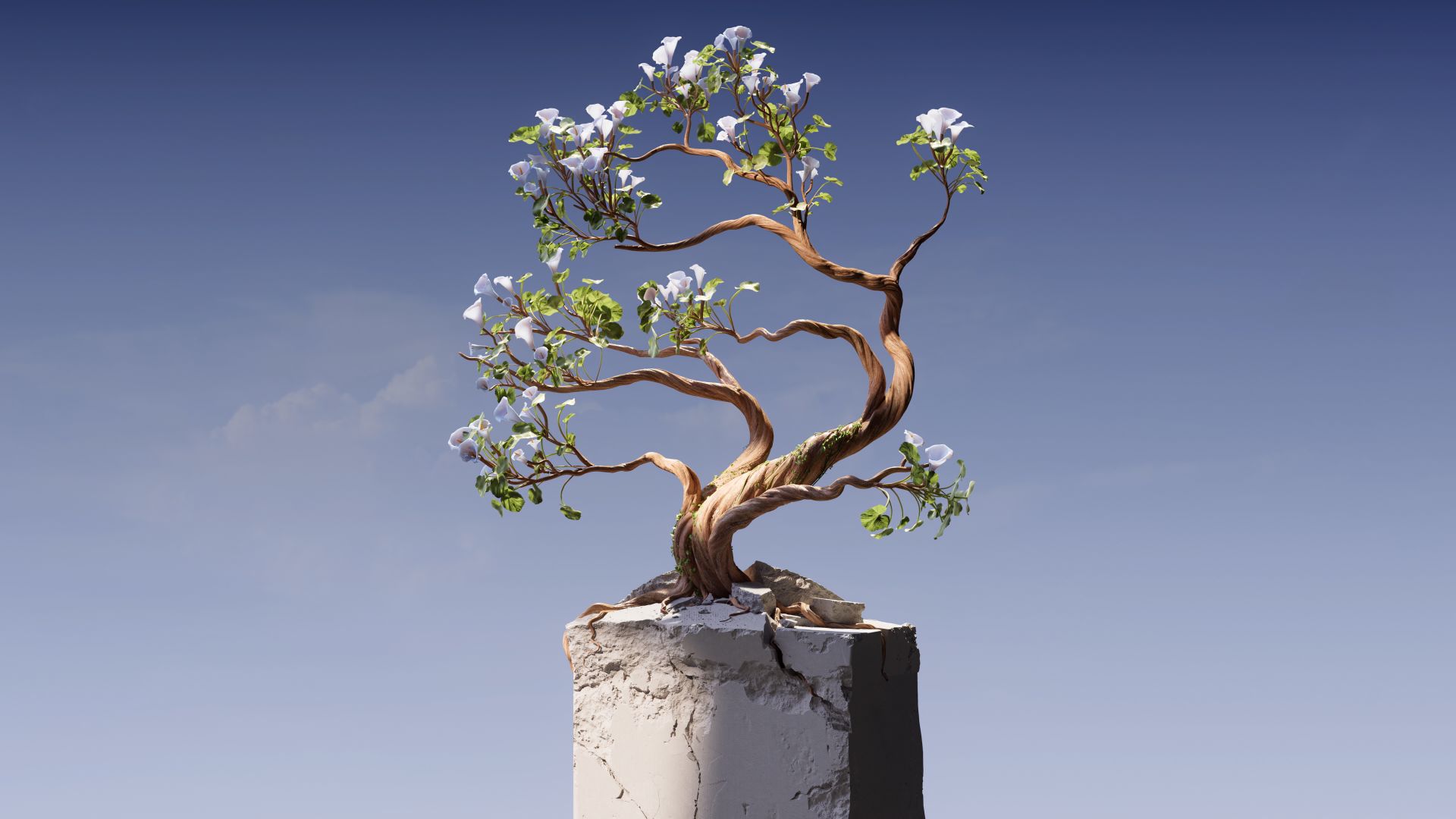 A Tree on a Rock