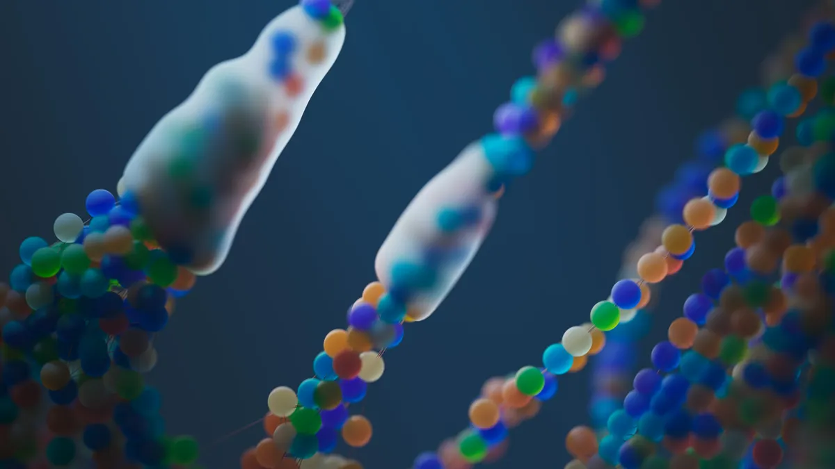 How Does Biological Age Rejuvenation Work and Is It Real?