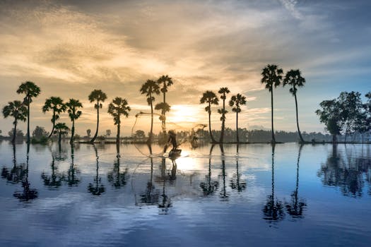 Serene view of tropical palms and reflections during sunset, ideal for travel imagery.