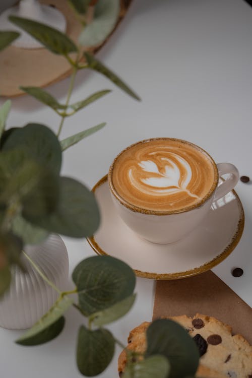 Foto stok gratis cappuccino, Daun-daun, kilang
