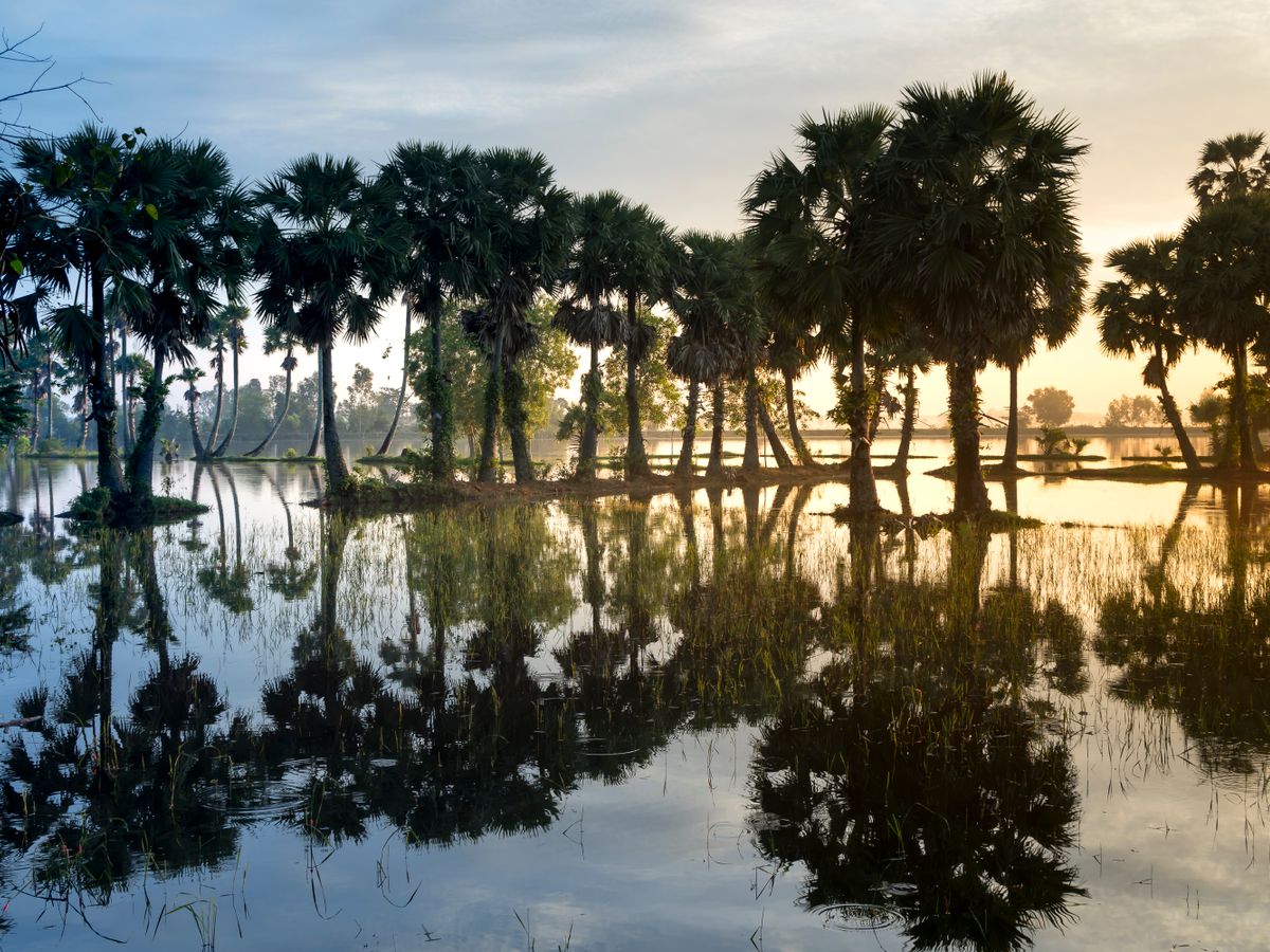 3 Day Mystic Pathways: A Shamanic Journey in Siem Reap, Cambodia 2