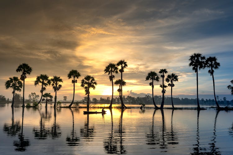 Palm Trees Under Orange Sky At Sunset