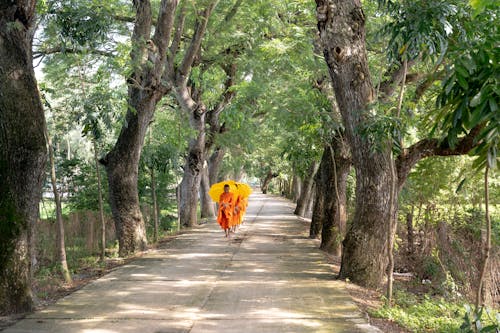 オレンジ色の傘を持っている僧侶