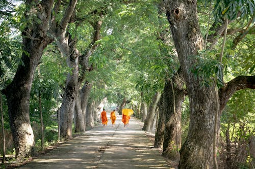 Four Monks Walking on Road