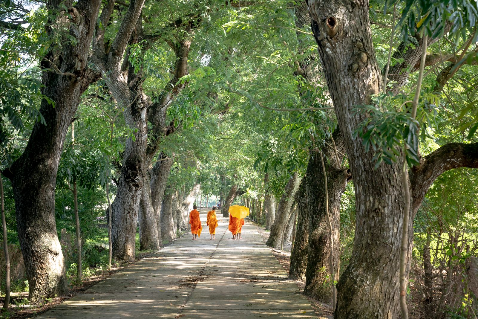 Walking Meditation Practice