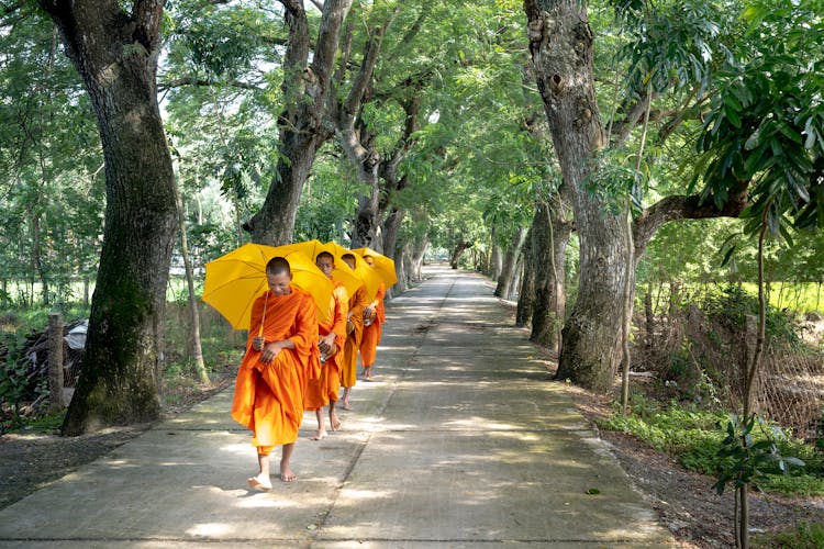 Four Monks Walking