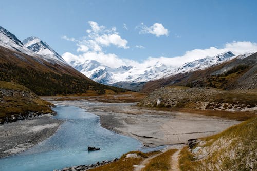 Foto d'estoc gratuïta de constipat, hivern, llac