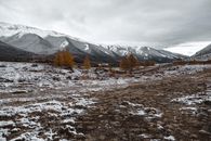 白雪皑皑的山景，与俄罗斯秋天稀少的树木和初冬的雪相映成趣