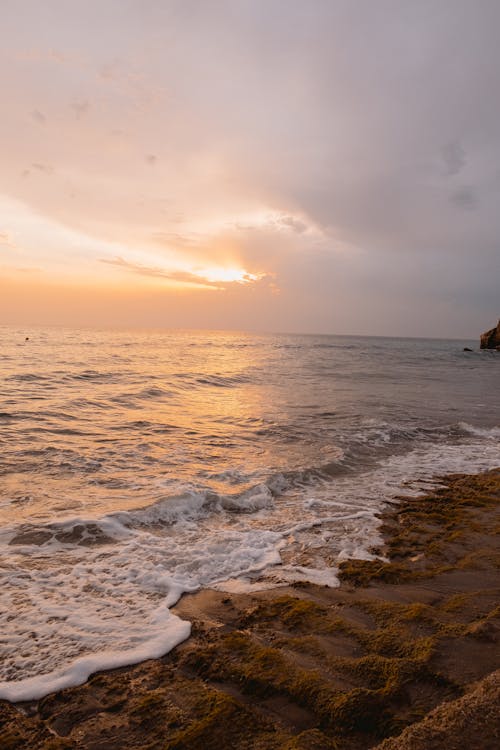бесплатная Пляж во время Золотого часа Стоковое фото