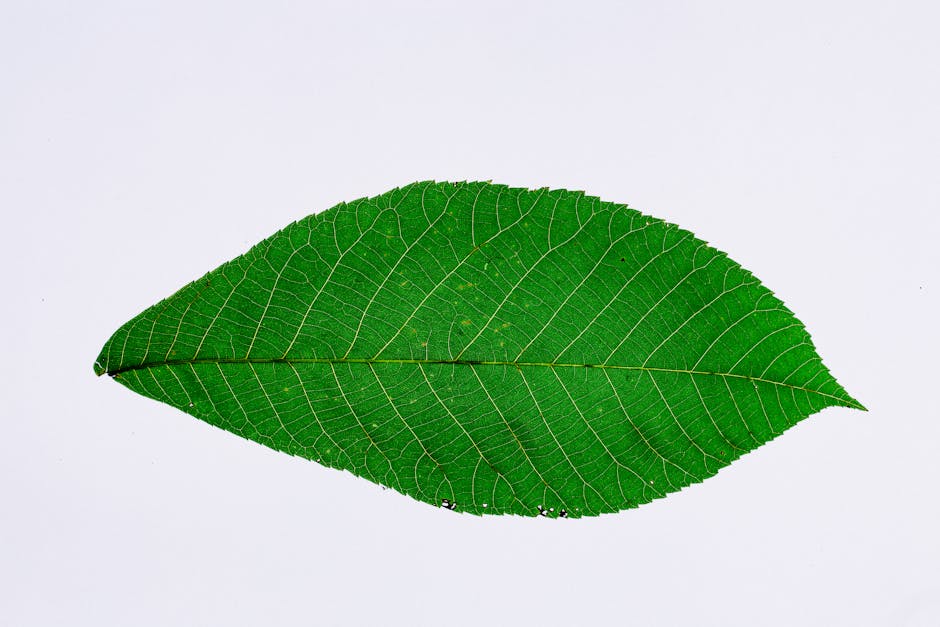 Promoting Environmental Awareness through Logo Design