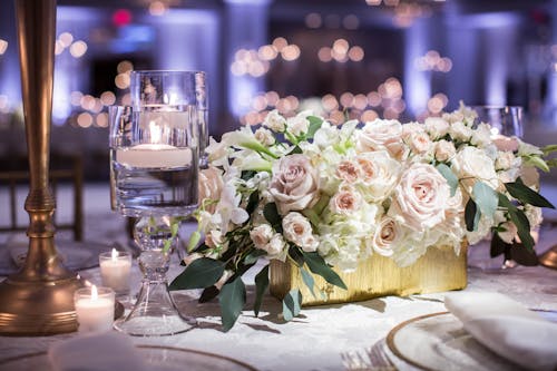 White and Pink Rose Flowers