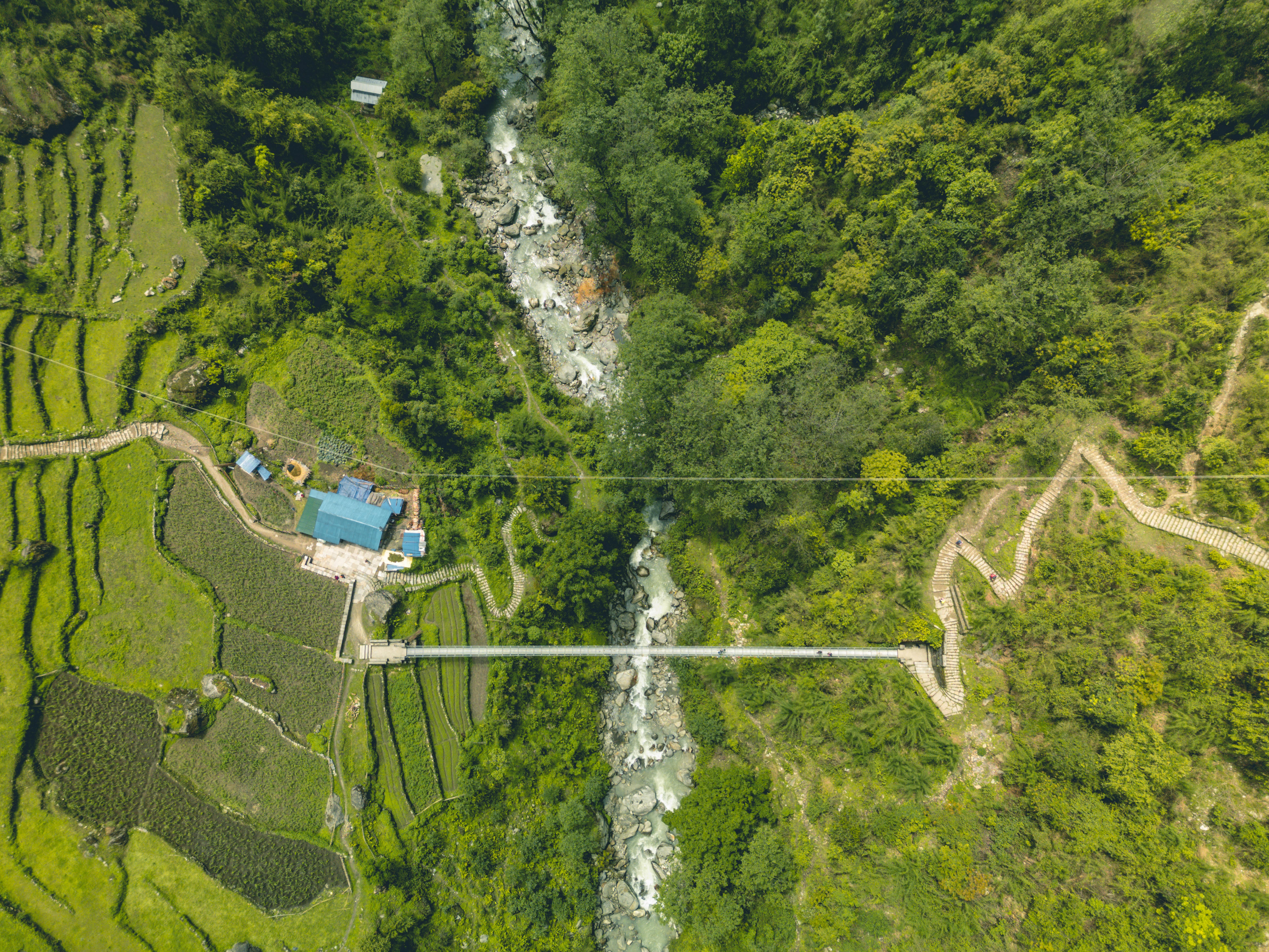 Aerial perspective of lush green terraces and a footbridge in Ghandruk, Nepal.