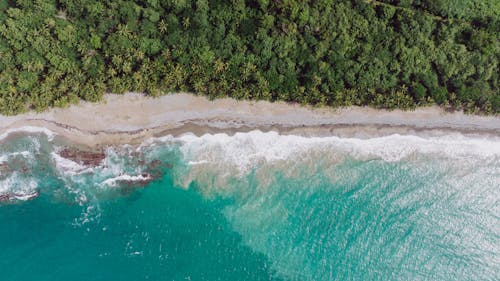 Základová fotografie zdarma na téma cestování, jezero, kámen