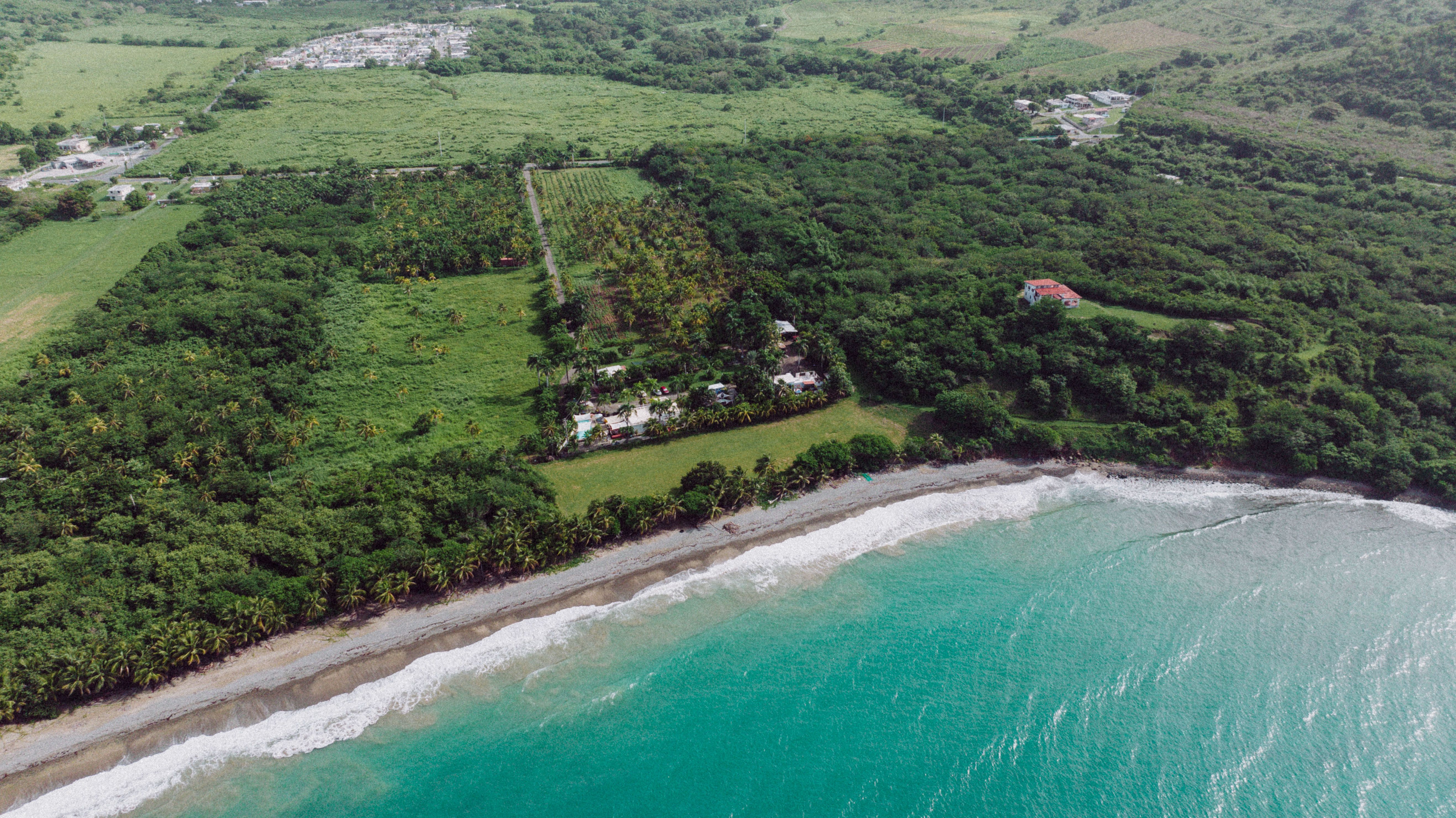 Puerto Rico Travel Revolution: 787 Coffee Ignites Global Buzz After Top 100 Specialty Coffee Shop Recognition Sparks Farm-to-