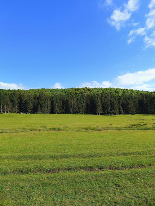 camping, doğa, doğa arka plan içeren Ücretsiz stok fotoğraf