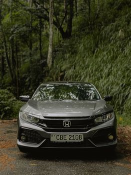 A sleek gray Honda Civic parked amid lush greenery in a serene forest setting.