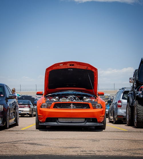 Gratis arkivbilde med åpen bonnit, åpen fronthette, ford-mustang