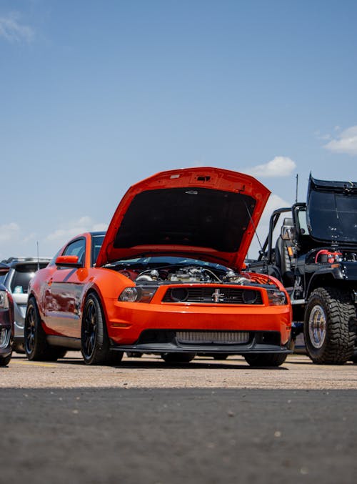 Free stock photo of boss 302, colorado, ford mustang