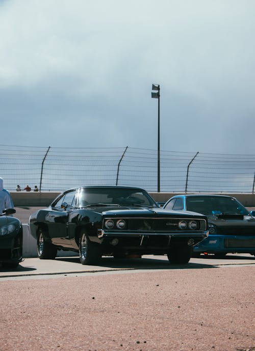 Free stock photo of challenger, colorado, dodge