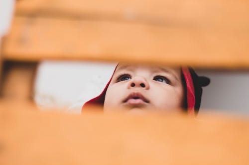 Free Toddler's Red and Black Hoodie Stock Photo